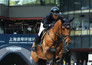 Paardensport: Global Champions Tour Shanghai