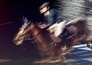 Paardensport: Wereldbeker Forth Worth