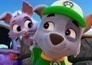 Paw Patrol Special: Rocky en de Kat-astrofe