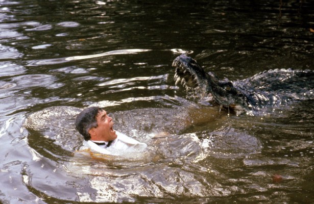 G.W. Bailey als kapitein Harris in Police Academy 5: Assignment: Miami Beach