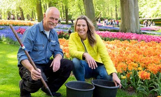 Romantisches Holland - Zwischen Tulpenpracht und Königskrone
