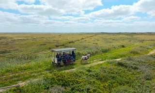 Spiekeroog
