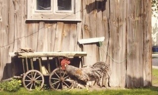 Spreewald - Labyrinth des Wassermanns