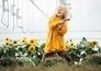 Sia, de Rebelse Bosfee