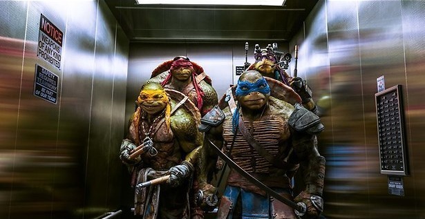 Schildpadden redden New York