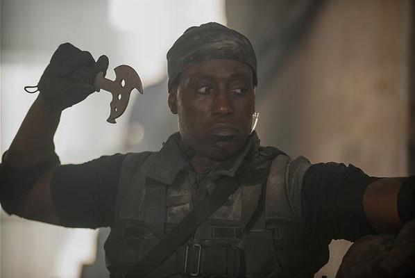 Lekker beuken met Sylvester Stallone