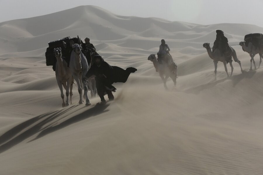 The Adventures of Priscilla, Queen of the Desert
