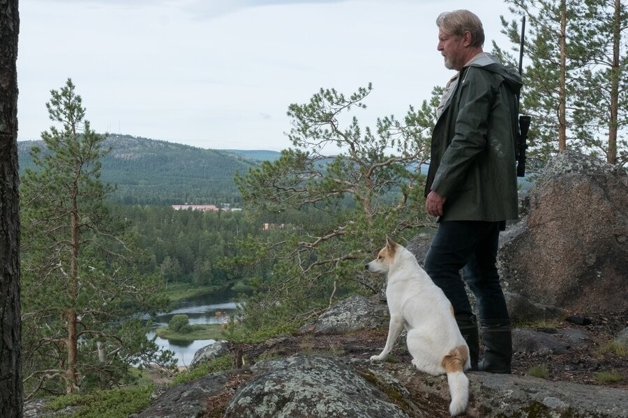 The Hunters