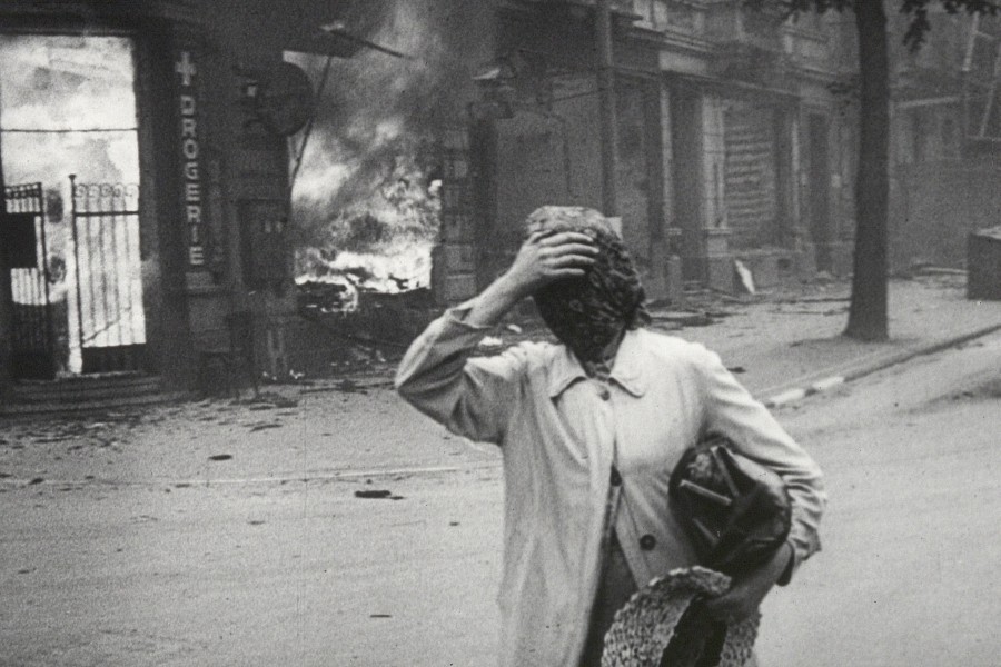 The Natural History of Destruction