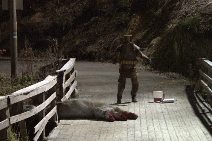 The Troll Hunter