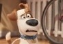The Secret Life of Pets
