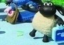 Timmy tijd