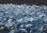 Triatlon: T100 World Tour Singapore