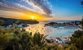 Wer rettet Mallorca?
