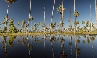 Wild Argentina: Extreme Earth