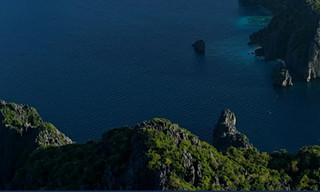 Wild Philippines