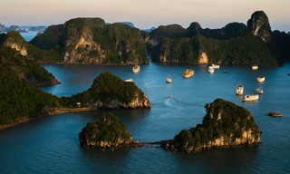 Wild Vietnam