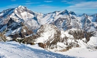 Wilde Schweiz