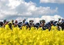 Wielrennen: Ronde van Romandië