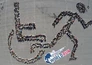 Wings for Life world run