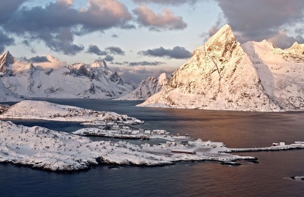 Wild Scandinavia