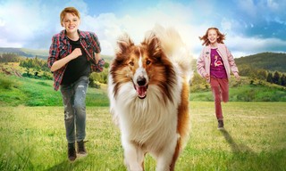 Zappbios: Lassie