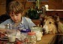 Zappbios: Lassie - Een nieuw avontuur