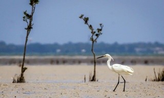 Australiens wilder Westen