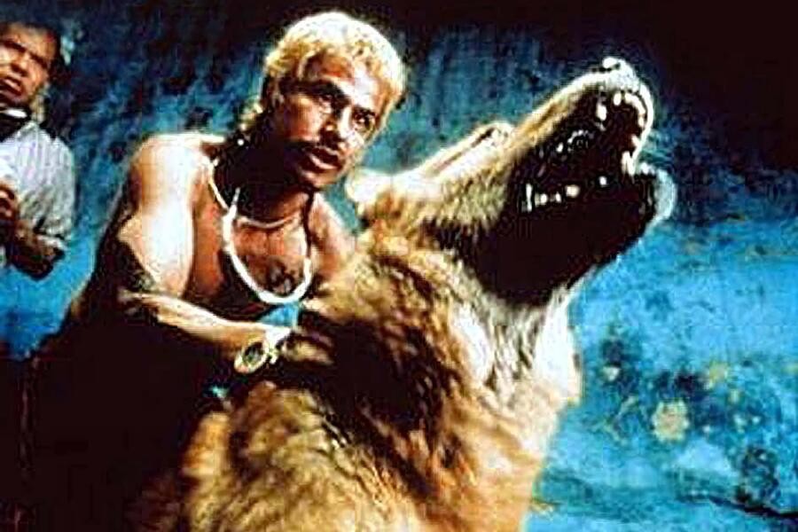 Amores perros