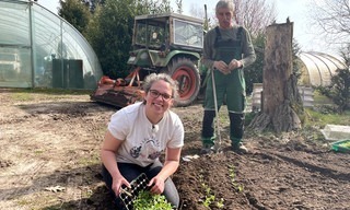 Blumen für die Bienen - Eine Gärtnerei will nachhaltig werden