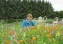 Beechgrove garden