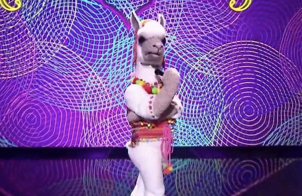 The Masked Singer