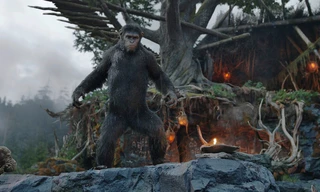 Dawn of the Planet of the Apes