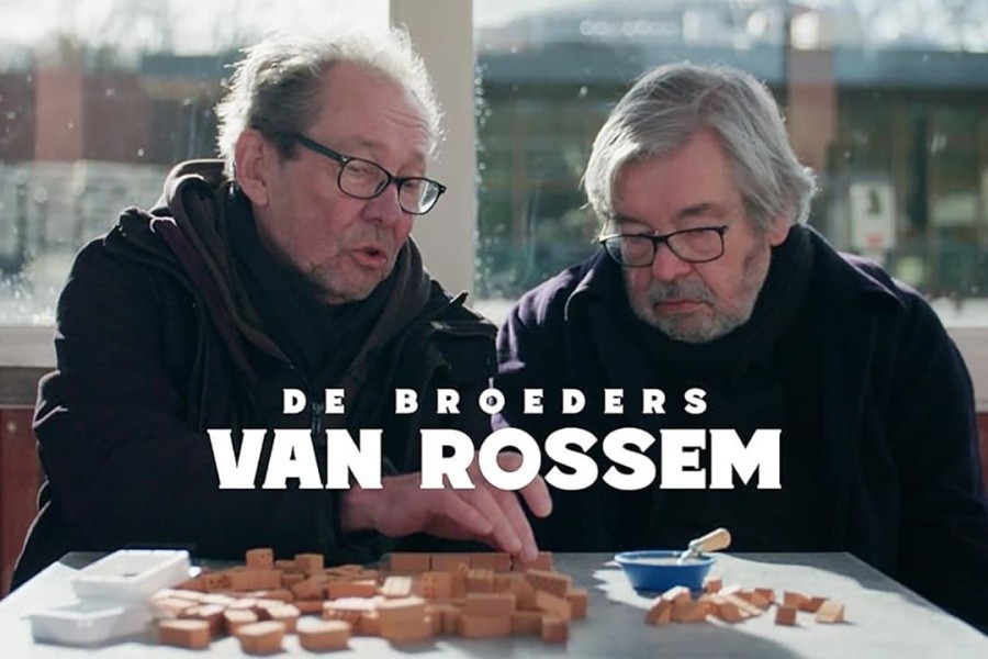 De broeders Van Rossem