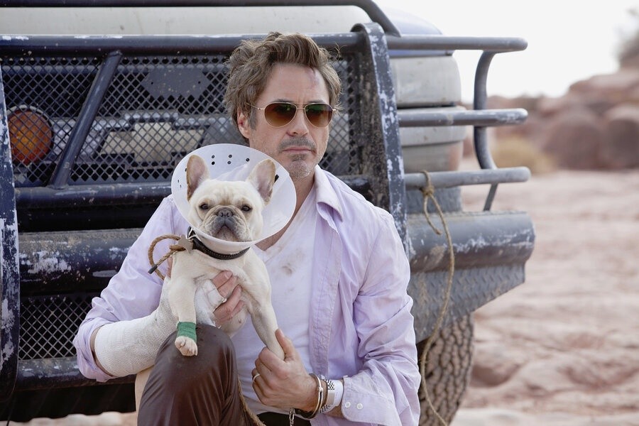 Due Date