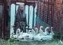Die Gänseprinzessin