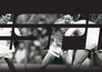ESPN doc