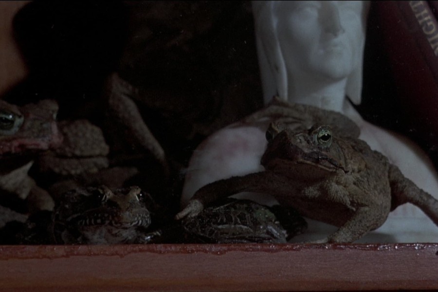 Frogs