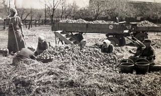 Geschichte der Landwirtschaft: Pflug und Segen