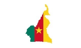 Green Lions: Cameroon '90