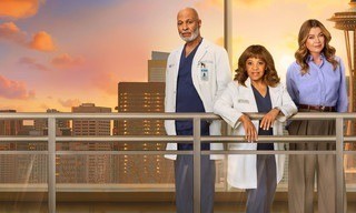 Grey's anatomy