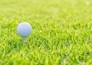 Golf: Kroger Queen City Championship
