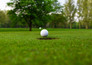Golf: The Players Championship