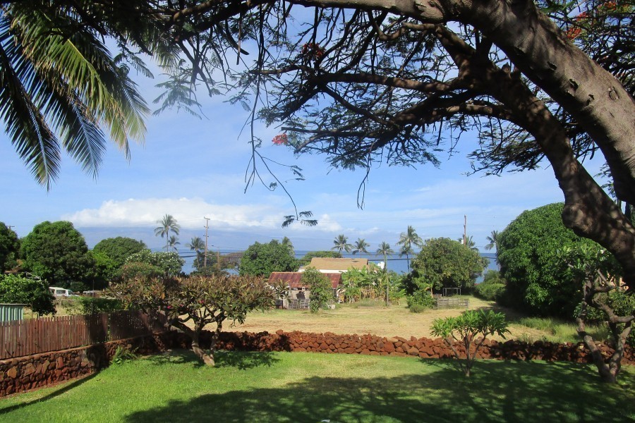 Hawaii Life