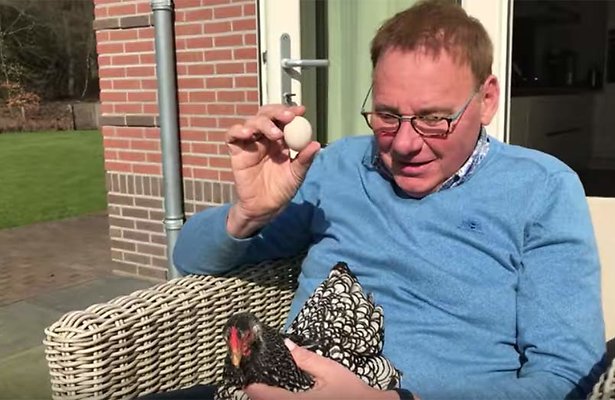 Jan de Hoop