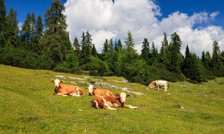 Kurbanlik