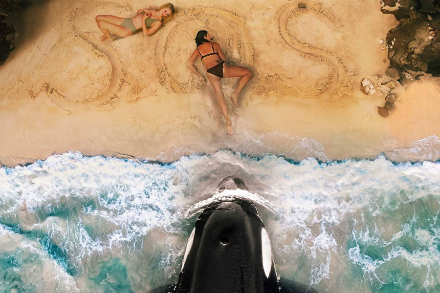 Killer Whale