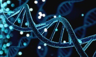 Le court du jour: Femmes de science