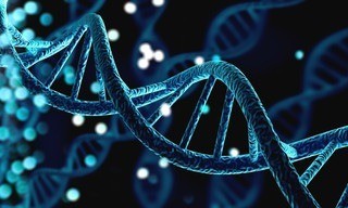 Le court du jour: Femmes de science