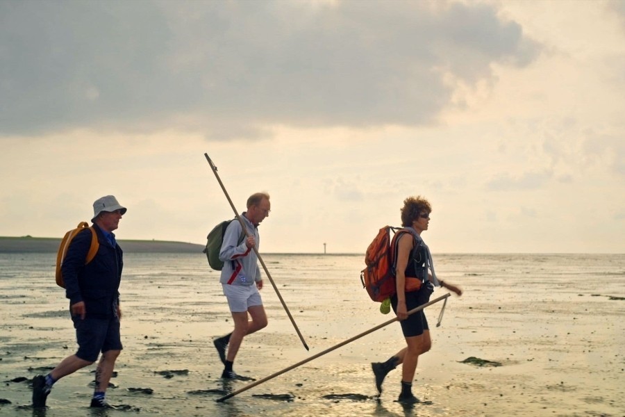 Langs de Kust